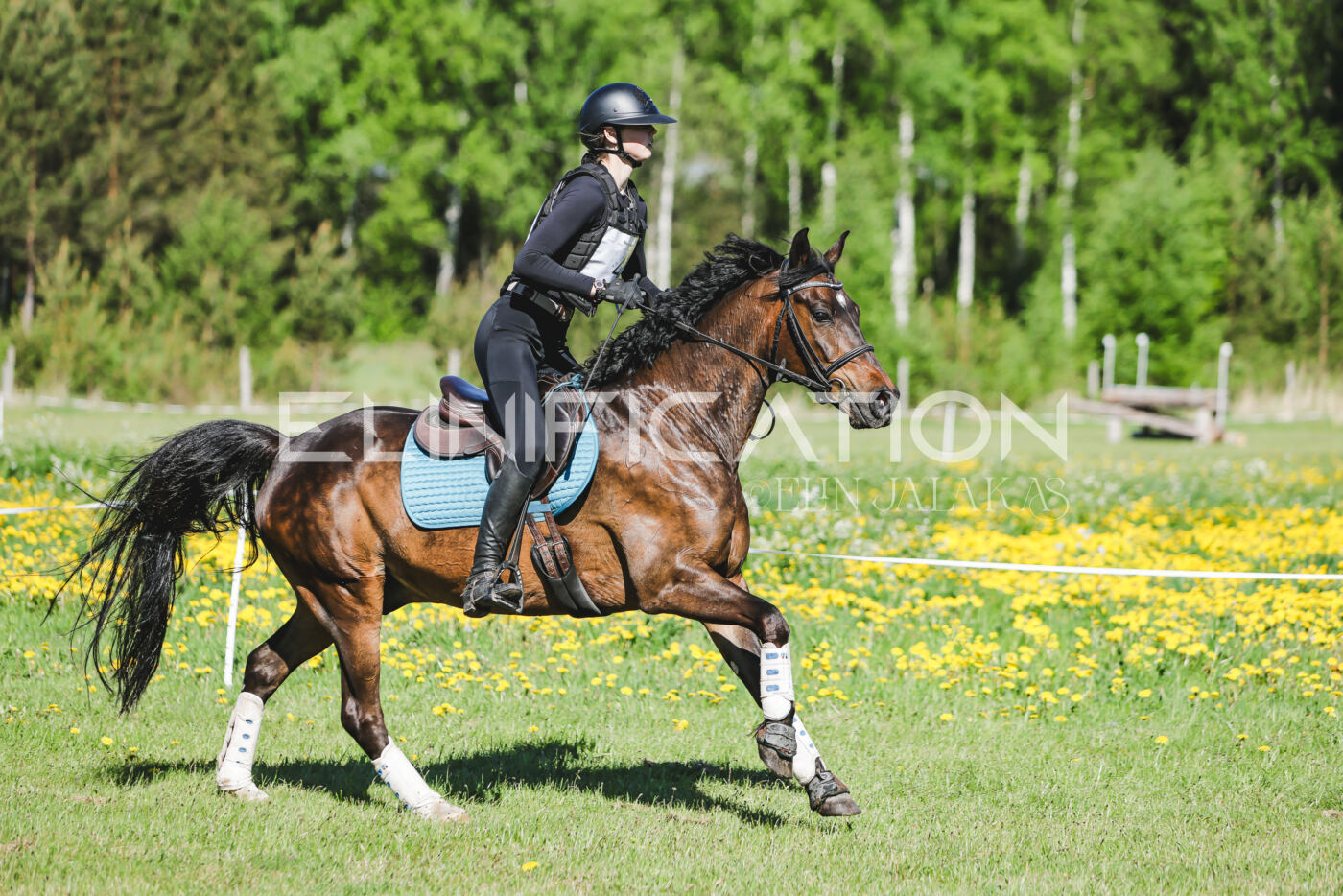 Parnu_CHI_3V_2026_CCN100_XC_137