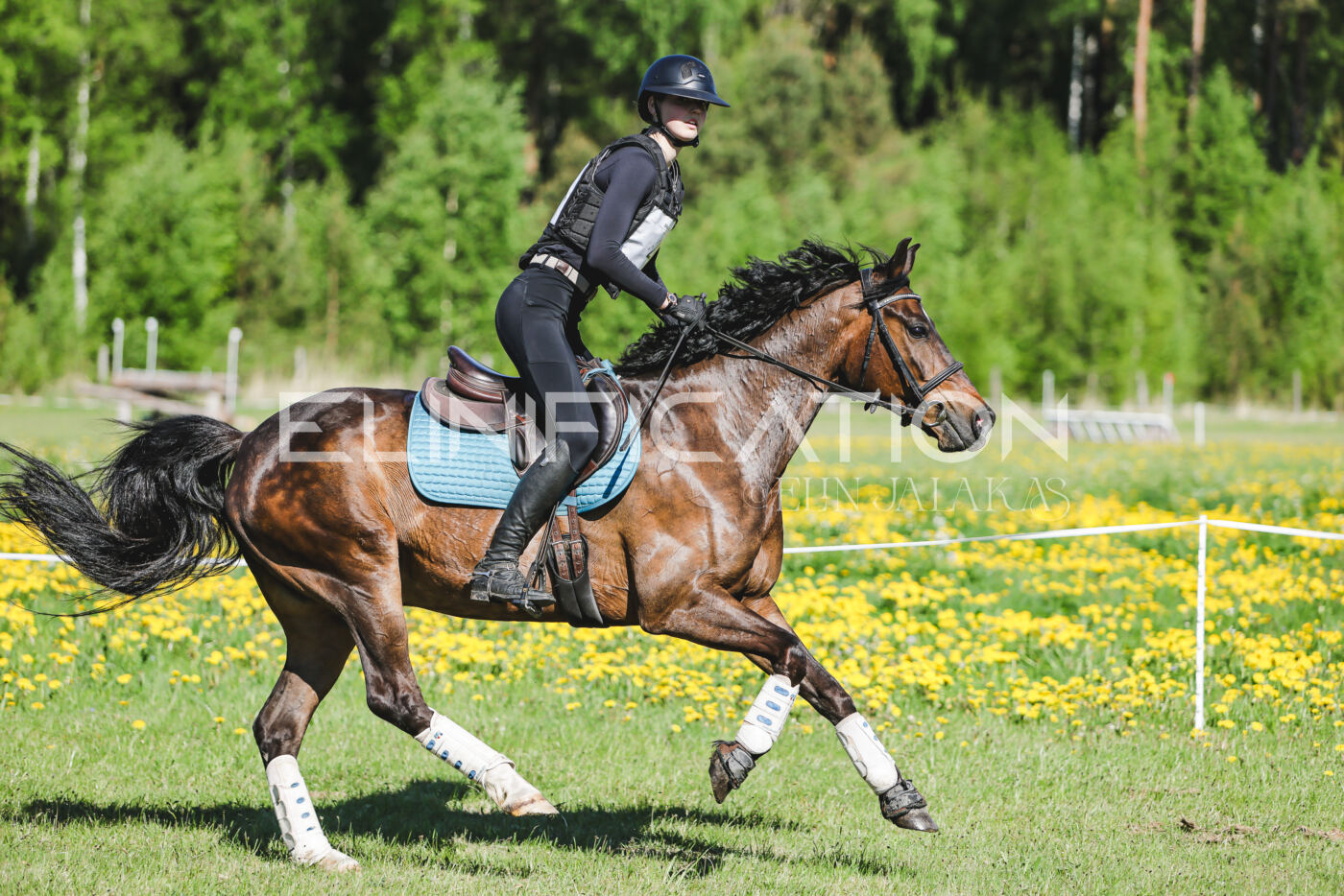 Parnu_CHI_3V_2026_CCN100_XC_138