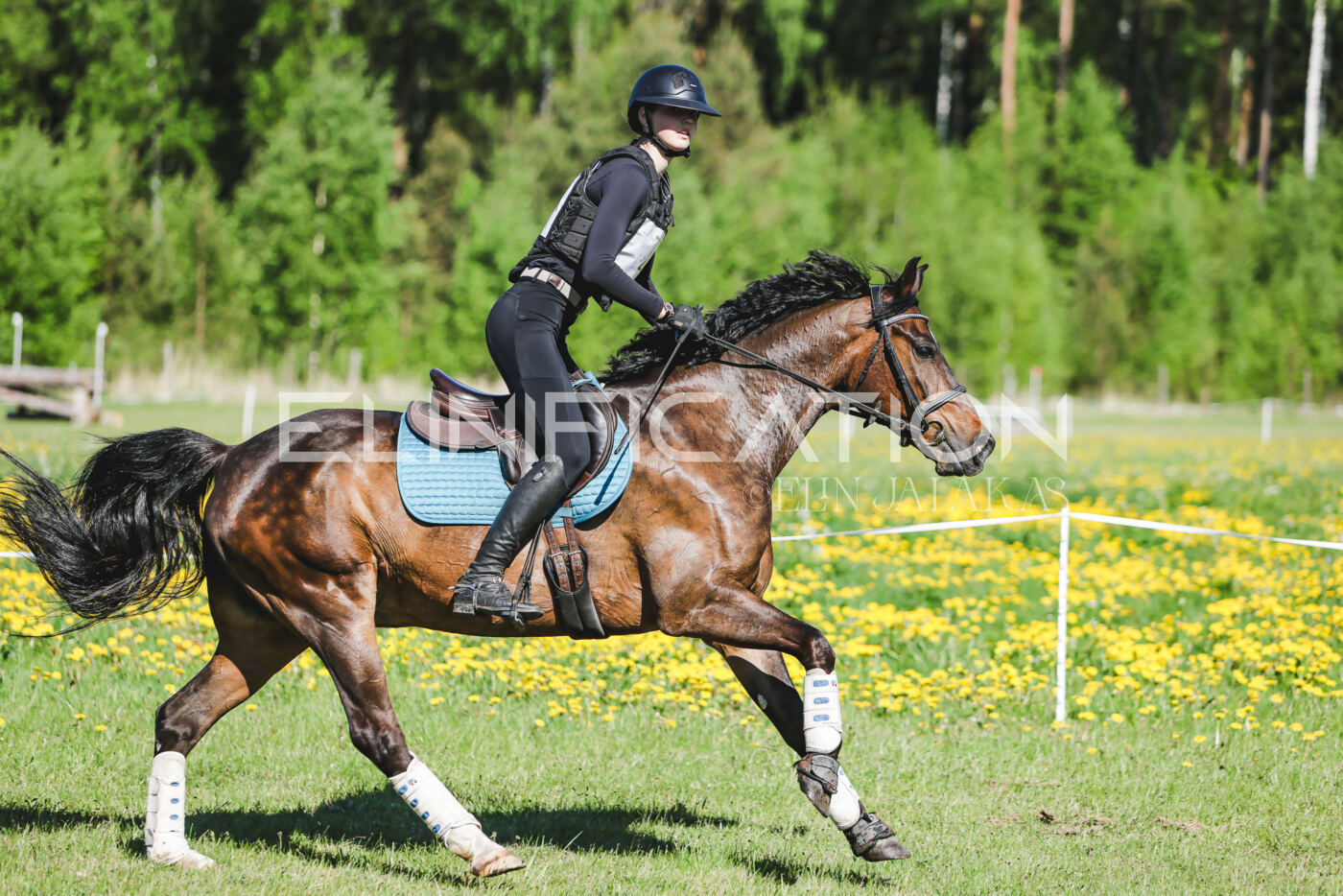 Parnu_CHI_3V_2026_CCN100_XC_139