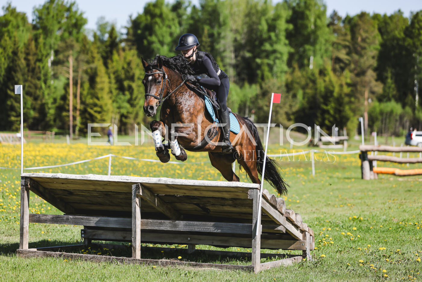 Parnu_CHI_3V_2026_CCN100_XC_142
