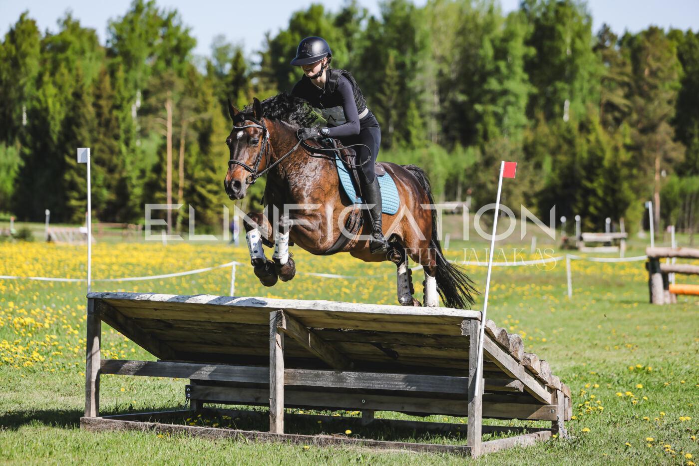 Parnu_CHI_3V_2026_CCN100_XC_144