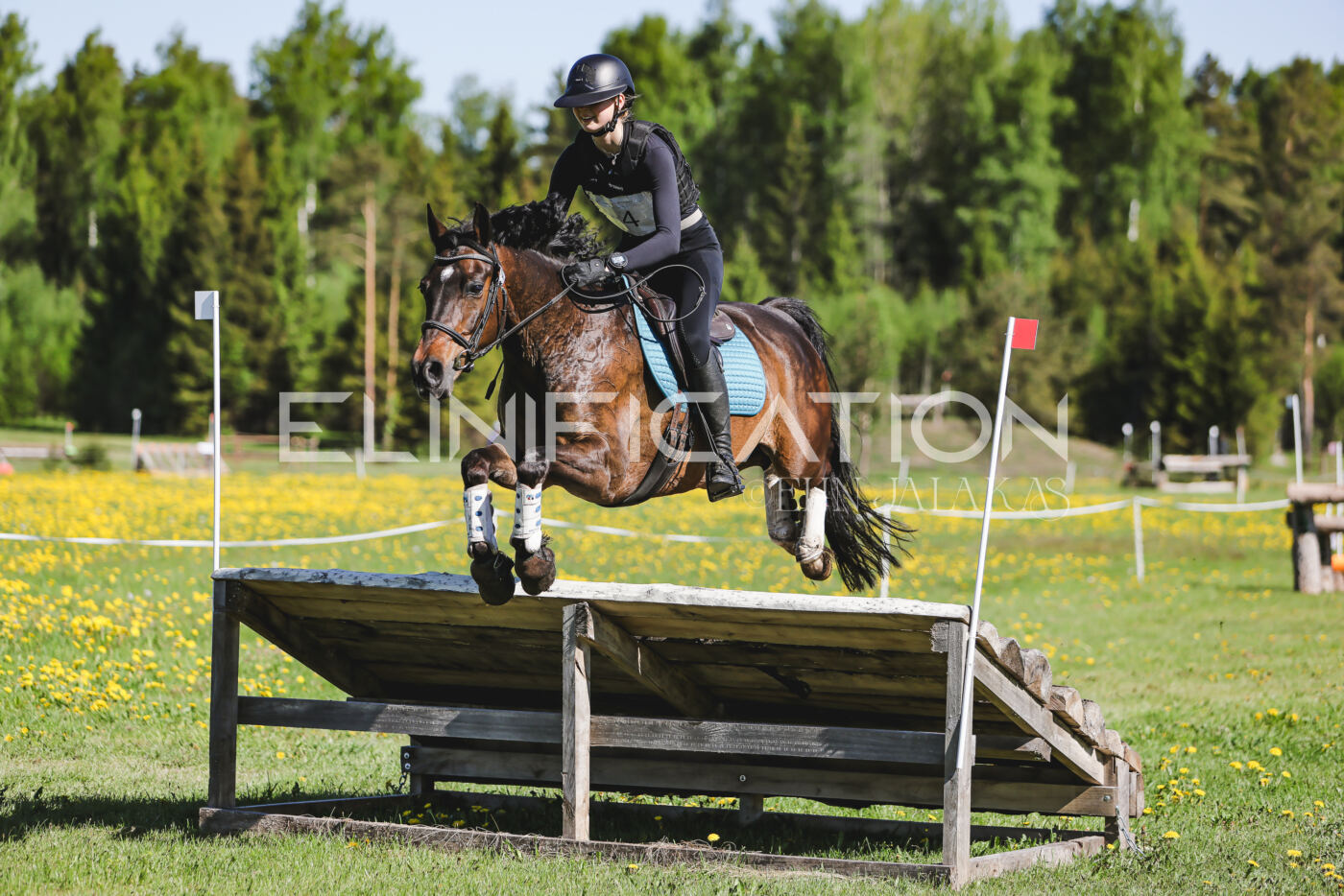 Parnu_CHI_3V_2026_CCN100_XC_145