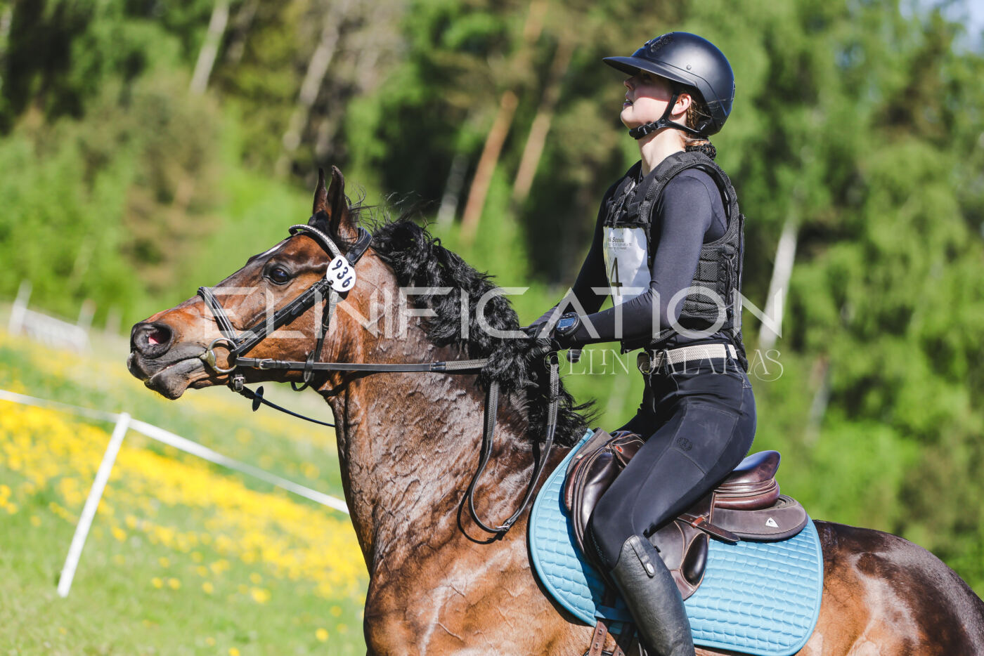 Parnu_CHI_3V_2026_CCN100_XC_149
