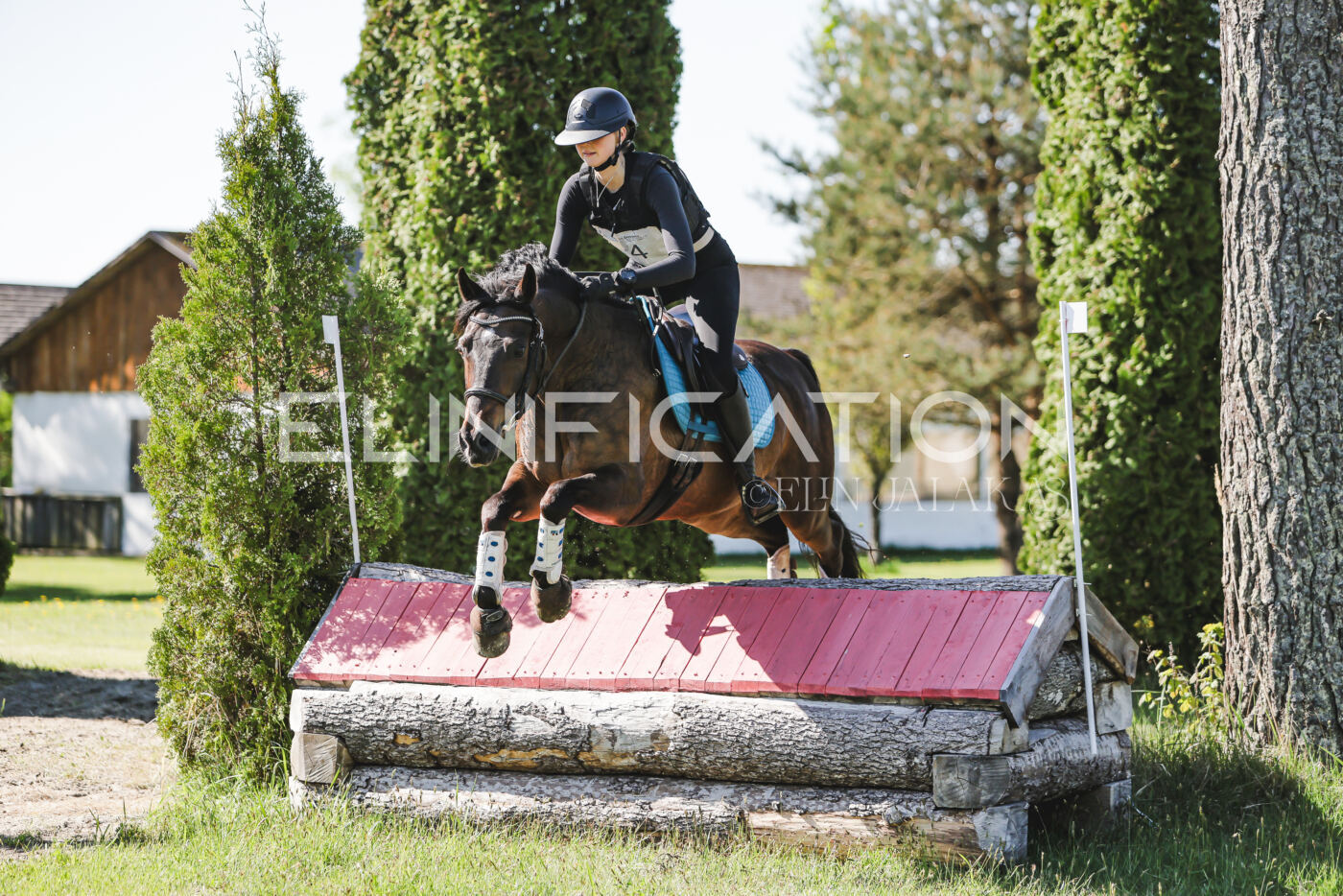 Parnu_CHI_3V_2026_CCN100_XC_153