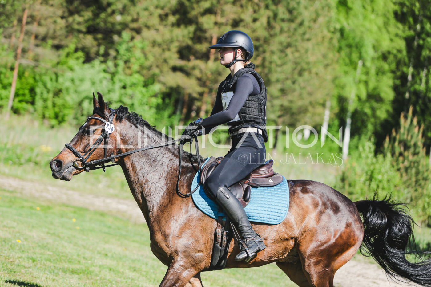 Parnu_CHI_3V_2026_CCN100_XC_165