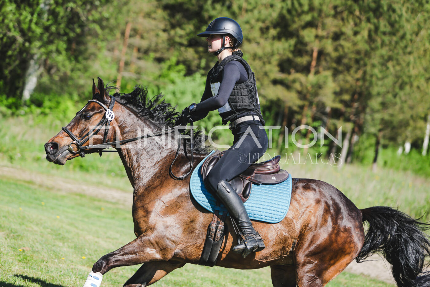 Parnu_CHI_3V_2026_CCN100_XC_167