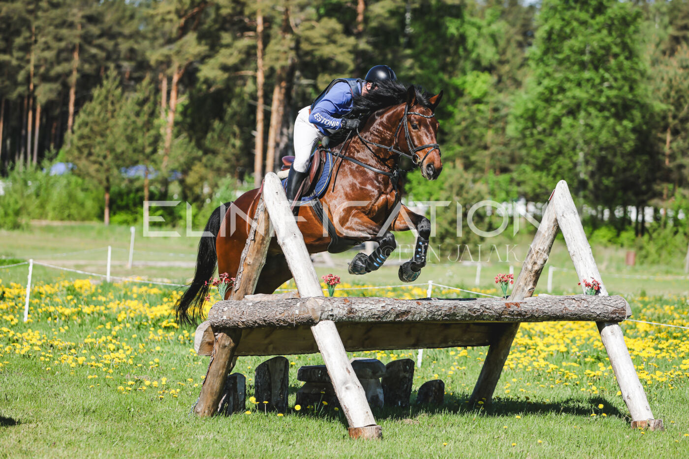Parnu_CHI_3V_2026_CCN100_XC_168