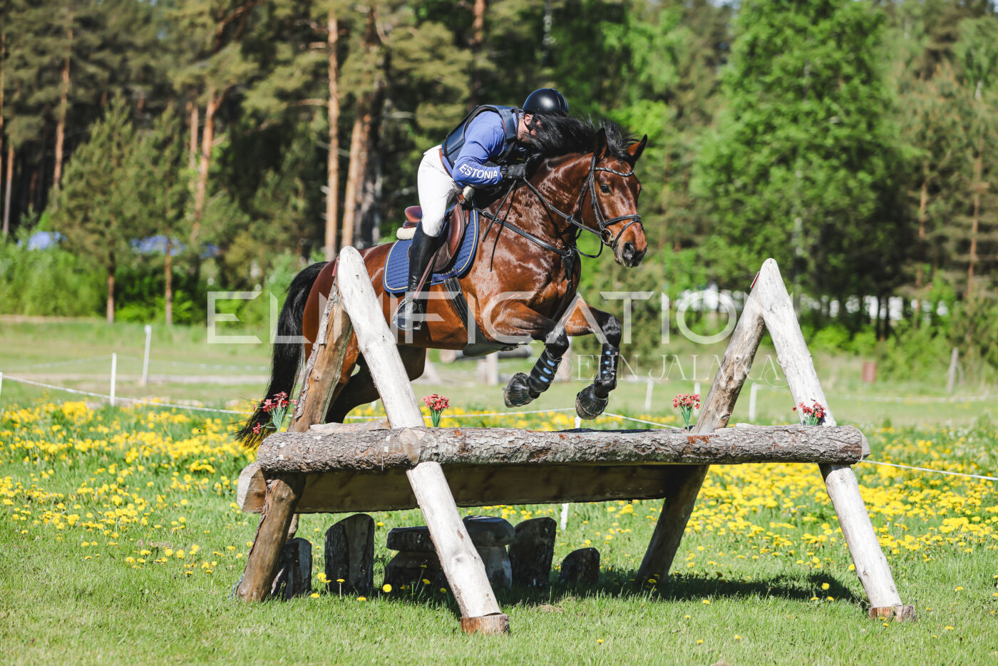 Parnu_CHI_3V_2026_CCN100_XC_169