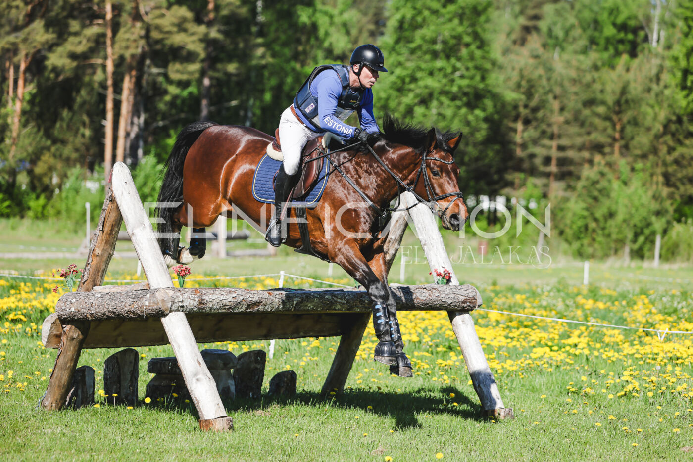 Parnu_CHI_3V_2026_CCN100_XC_173