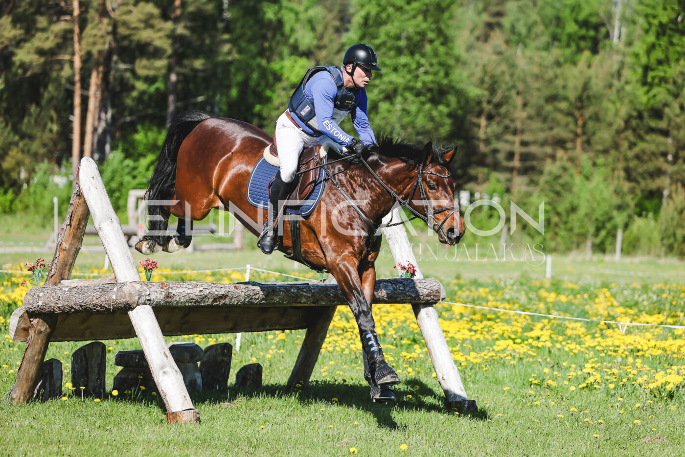 Parnu_CHI_3V_2026_CCN100_XC_174