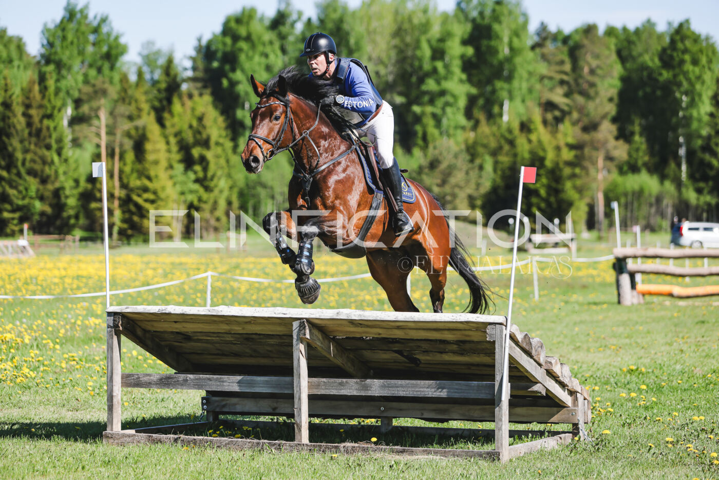 Parnu_CHI_3V_2026_CCN100_XC_175