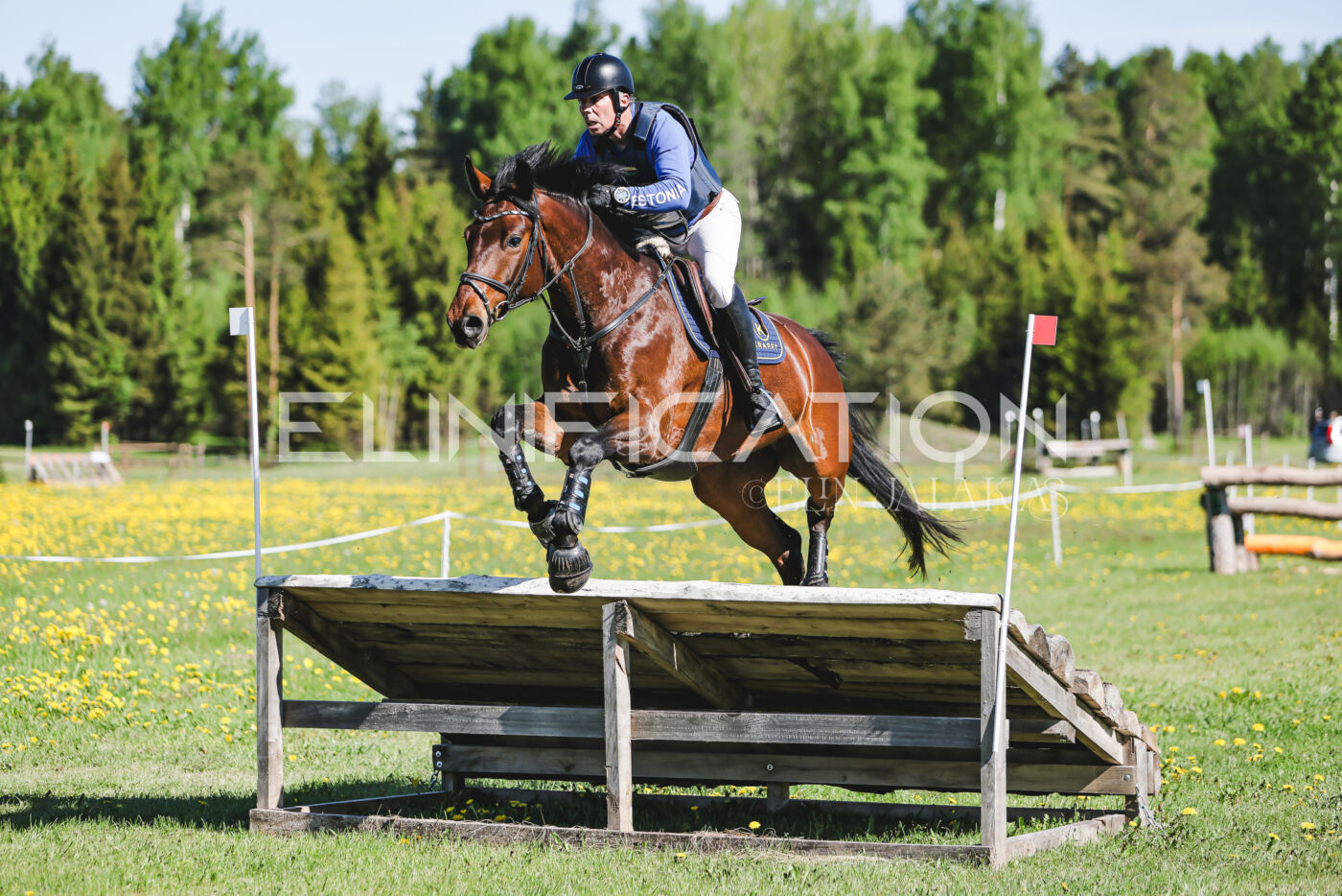 Parnu_CHI_3V_2026_CCN100_XC_176