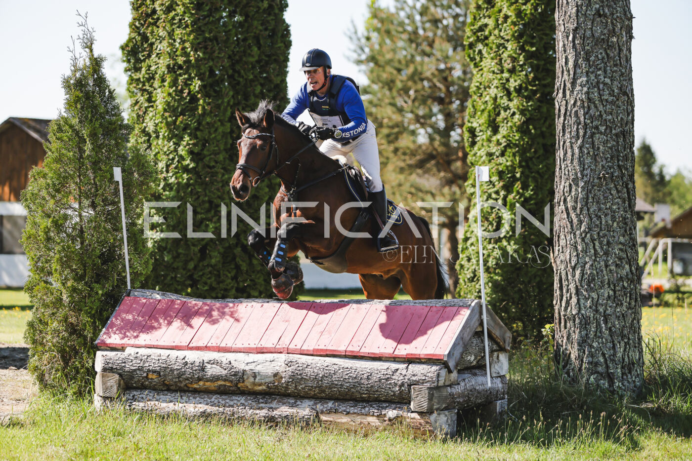 Parnu_CHI_3V_2026_CCN100_XC_179