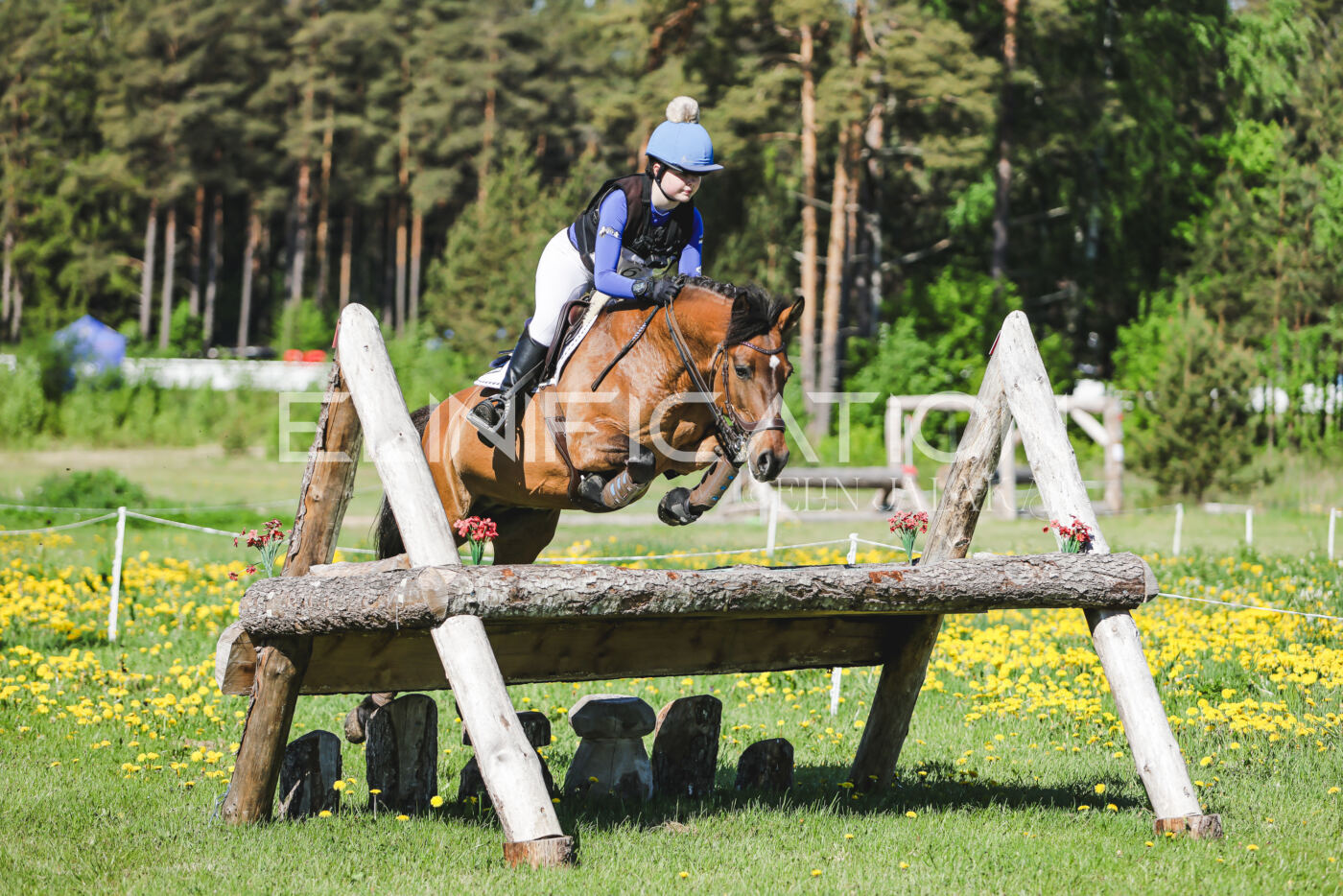 Parnu_CHI_3V_2026_CCN100_XC_185