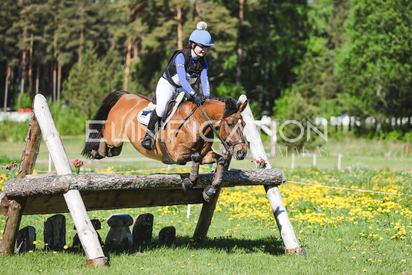 Parnu_CHI_3V_2026_CCN100_XC_189