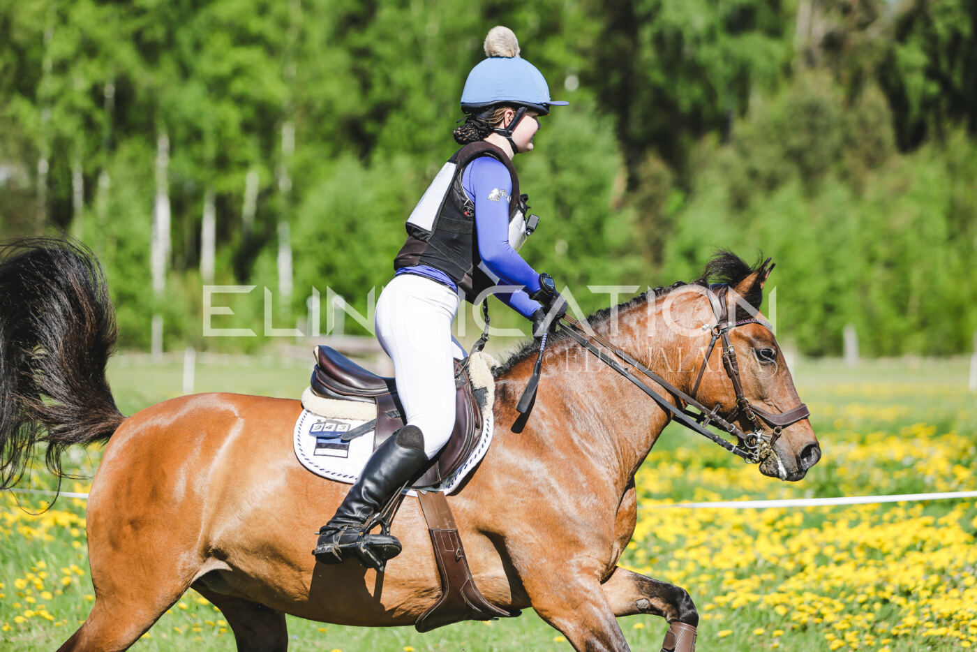 Parnu_CHI_3V_2026_CCN100_XC_192