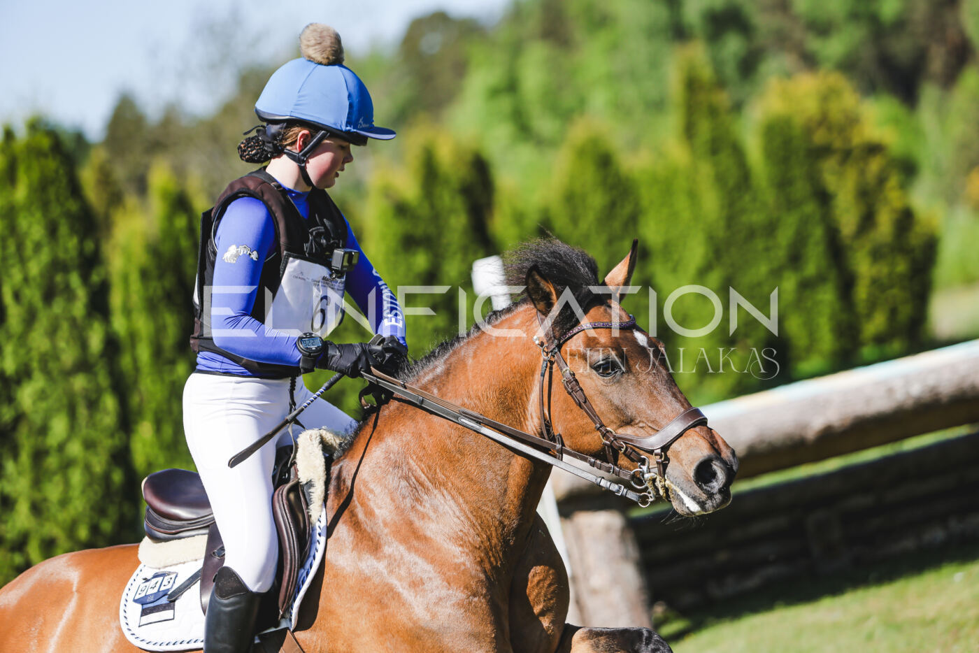 Parnu_CHI_3V_2026_CCN100_XC_212