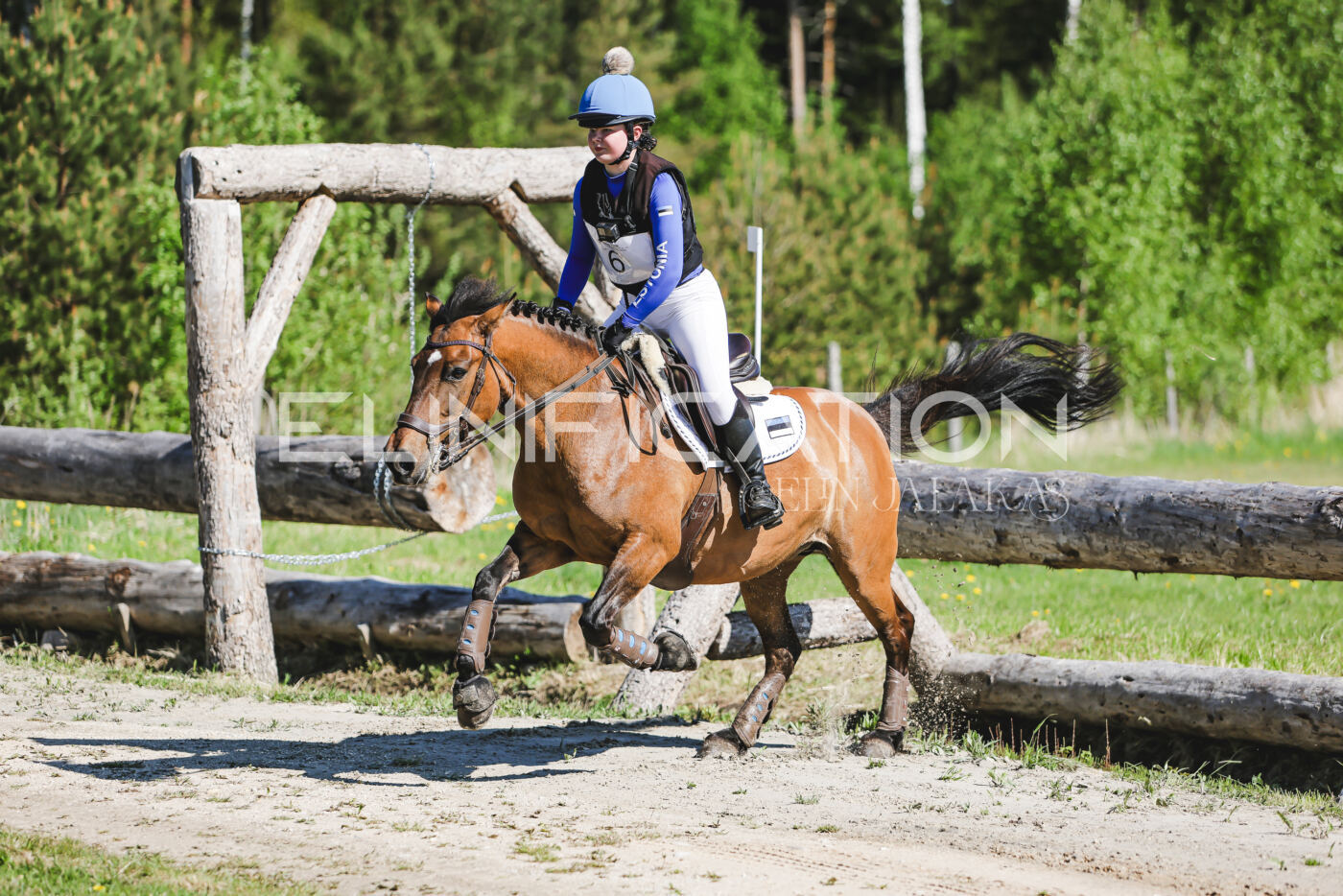 Parnu_CHI_3V_2026_CCN100_XC_217
