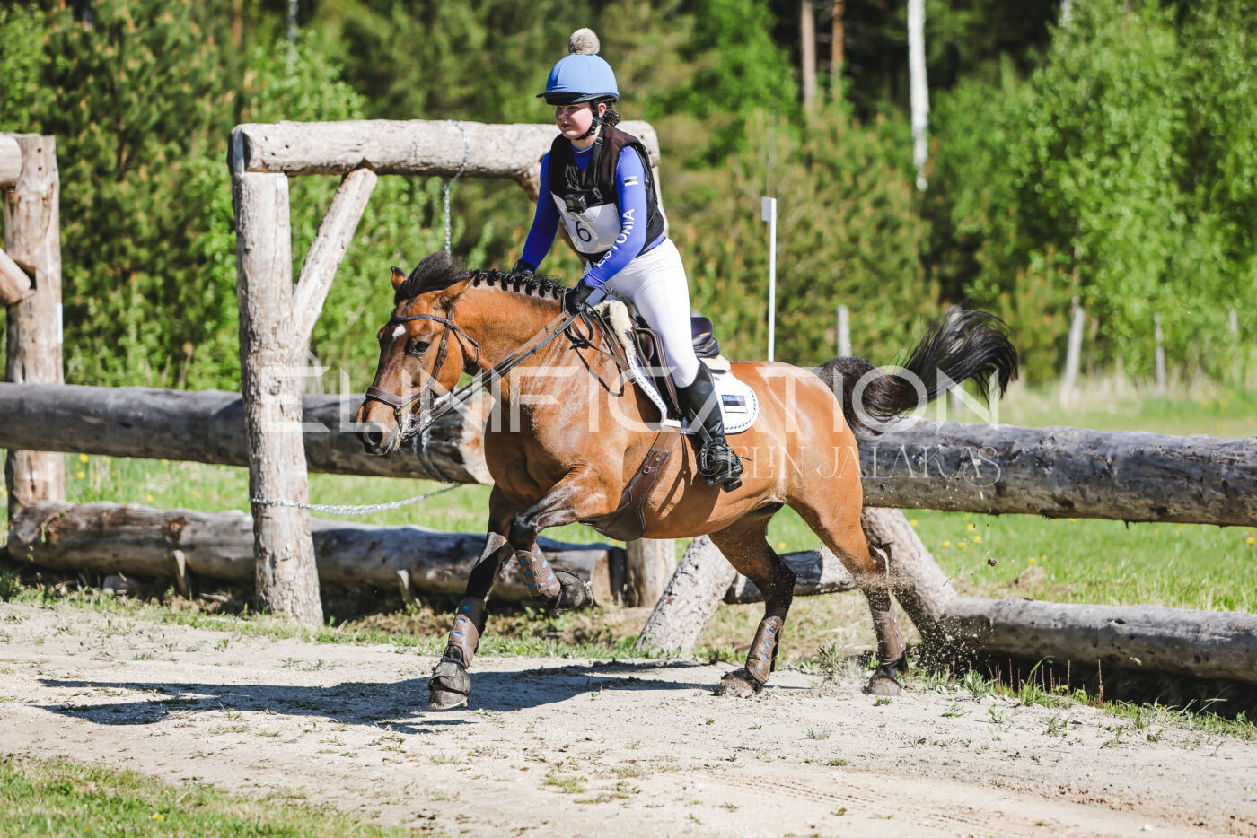Parnu_CHI_3V_2026_CCN100_XC_218