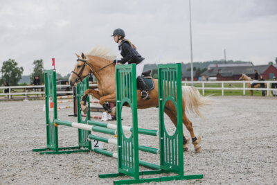 Tori_Karikas_2026_70_001