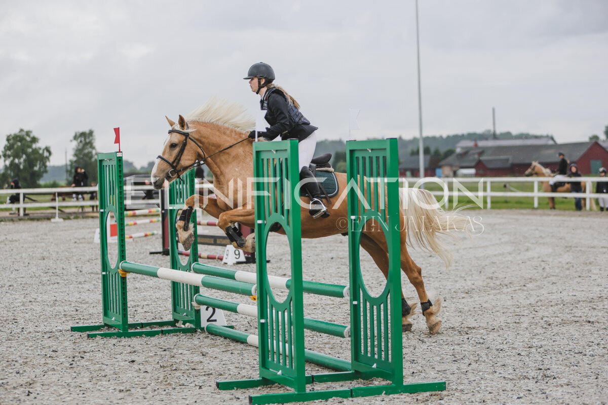 Tori_Karikas_2026_70_001