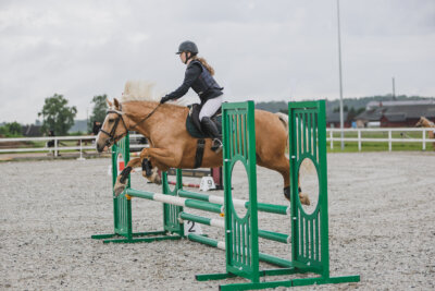 Tori_Karikas_2026_70_003