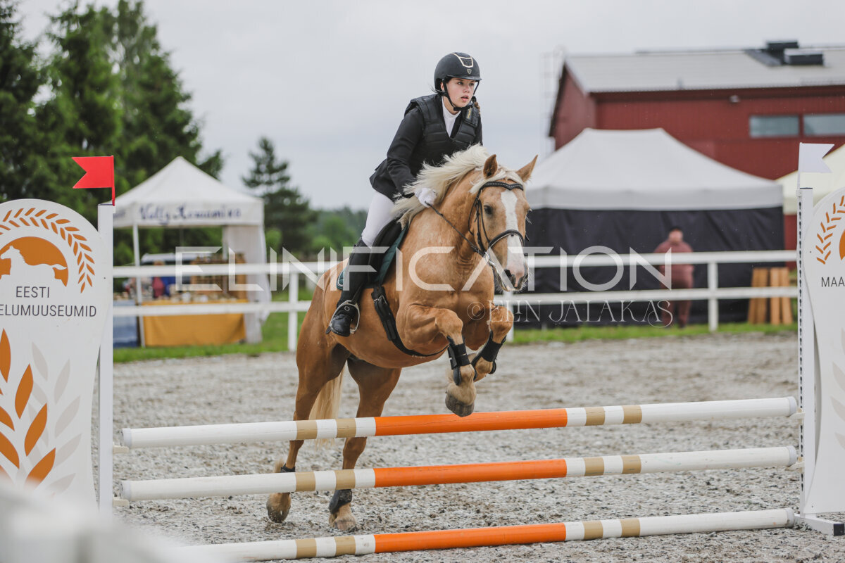 Tori_Karikas_2026_70_206