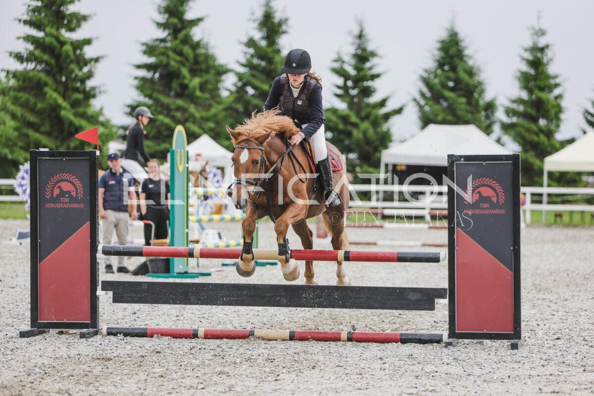 Tori_Karikas_2026_80_325