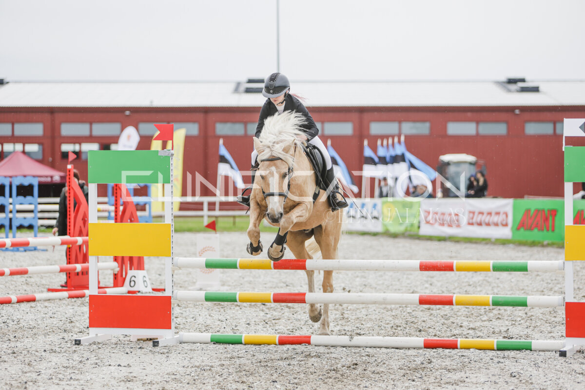Tori_Karikas_2026_80_365