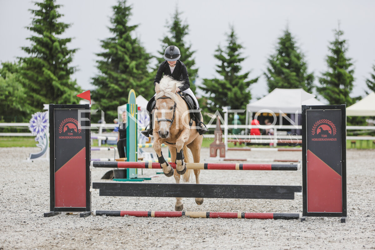 Tori_Karikas_2026_80_381