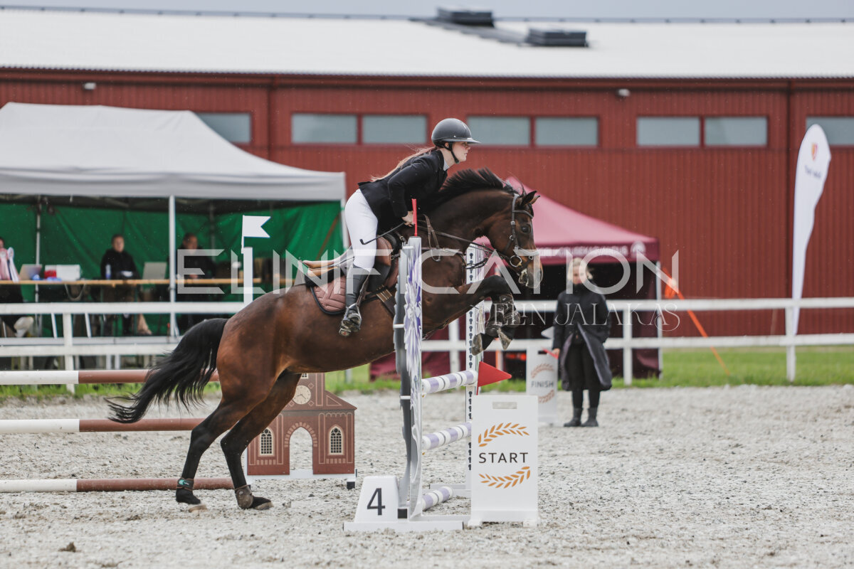 Tori_Karikas_2026_90_231