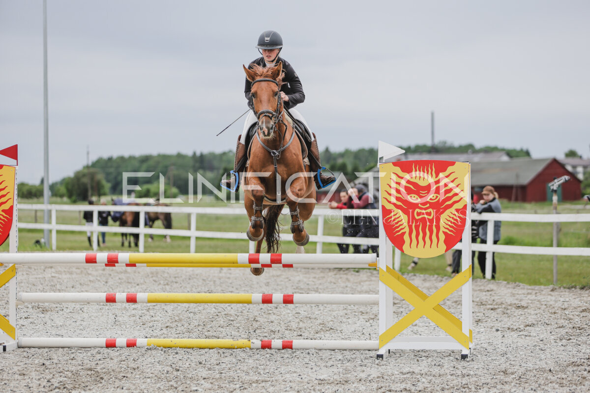 Tori_Karikas_2026_90_273