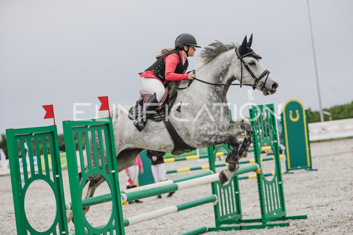 Tori_Karikas_2026_90_291