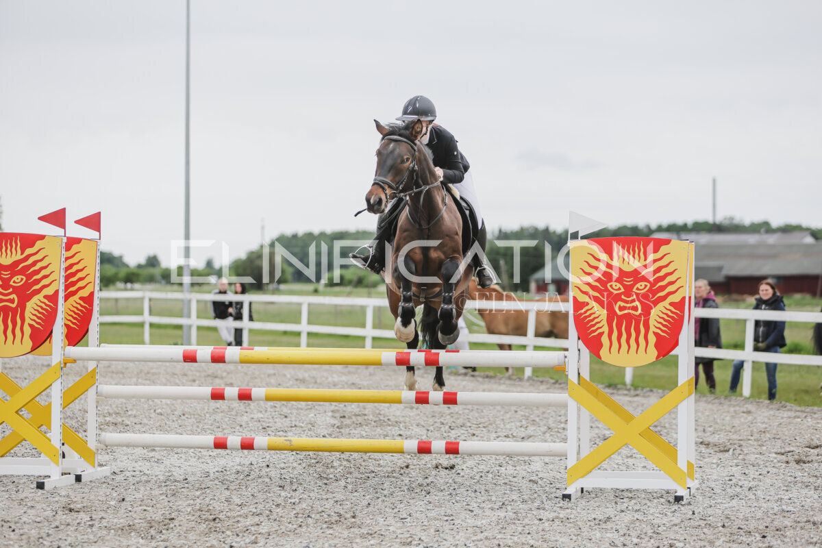 Tori_Karikas_2026_100_097
