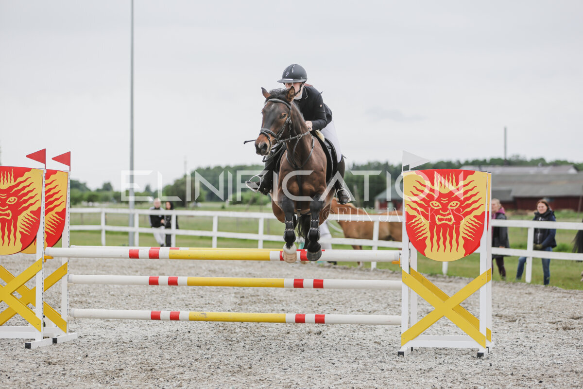 Tori_Karikas_2026_100_098