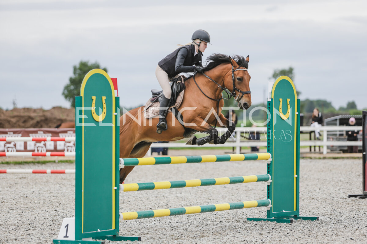 Tori_Karikas_2026_hc110-120_001
