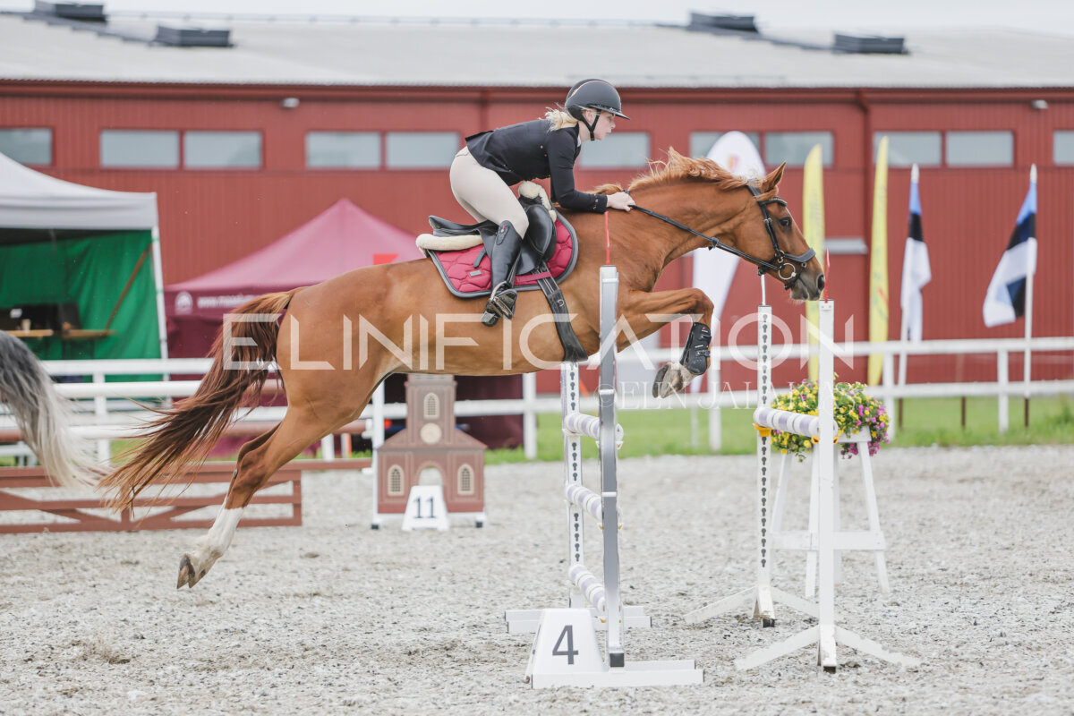 Tori_Karikas_2026_hc110-120_136