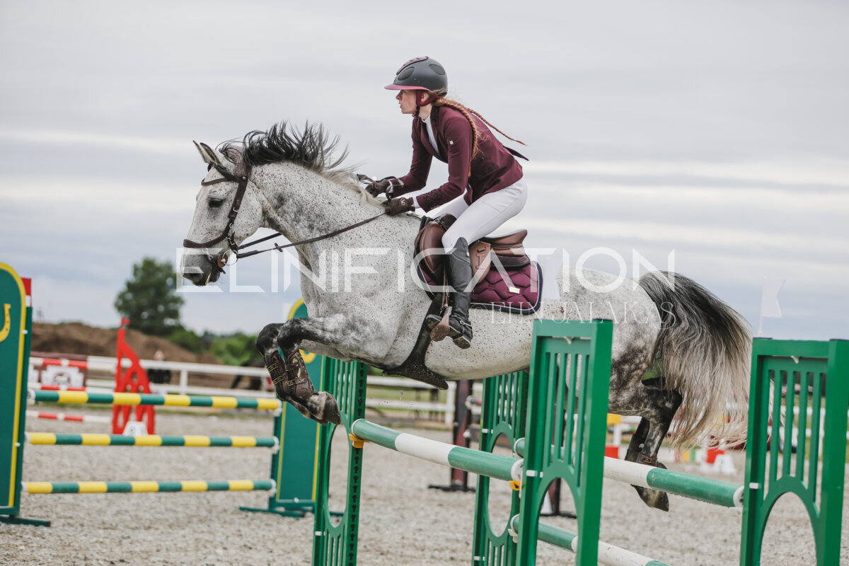 Tori_Karikas_2026_hc110-120_167