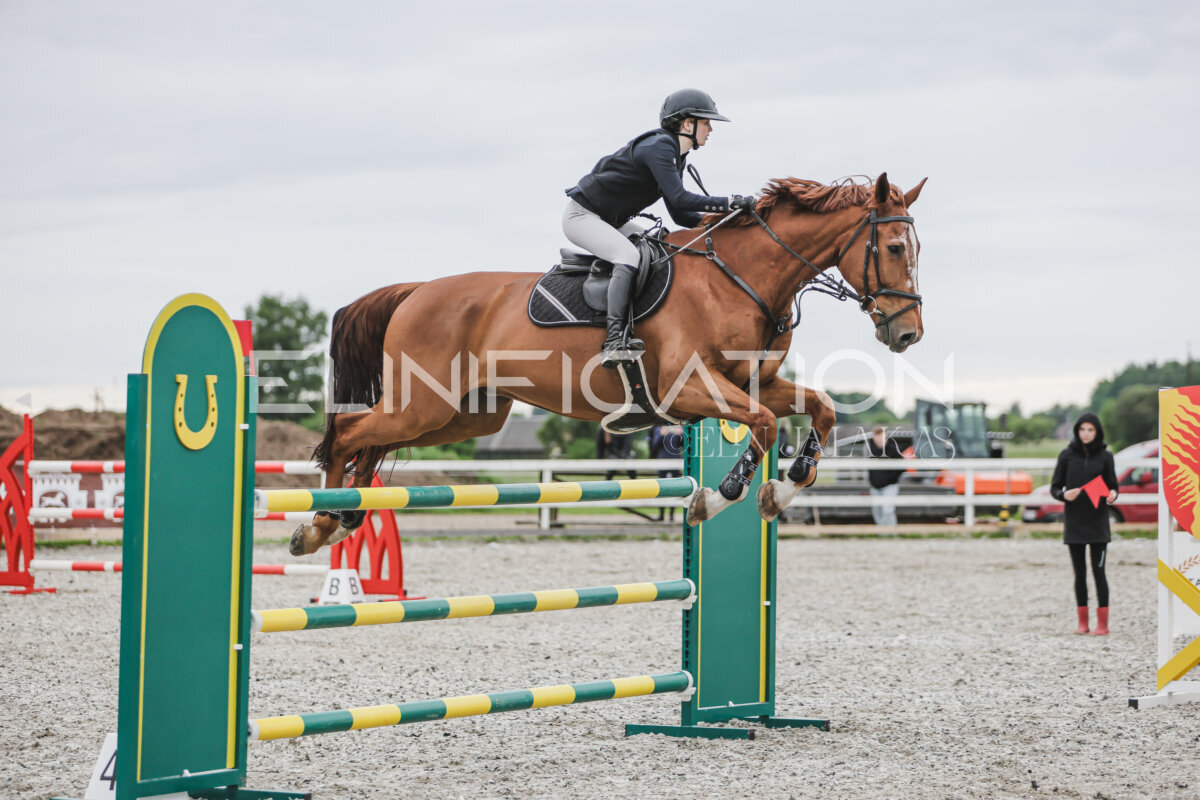 Tori_Karikas_2026_130_063