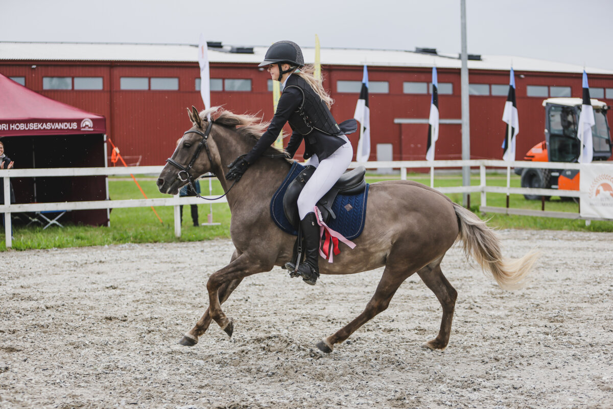 Tori_Karikas_2026_2_AT80cm_15