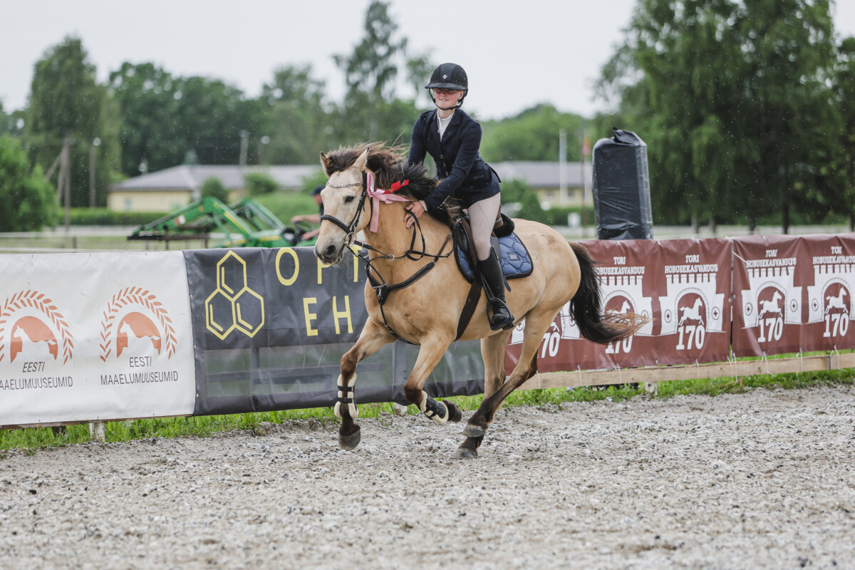 Tori_Karikas_2026_4_AT100cm_09