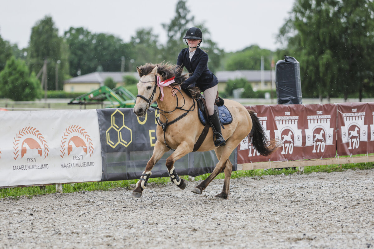 Tori_Karikas_2026_4_AT100cm_10