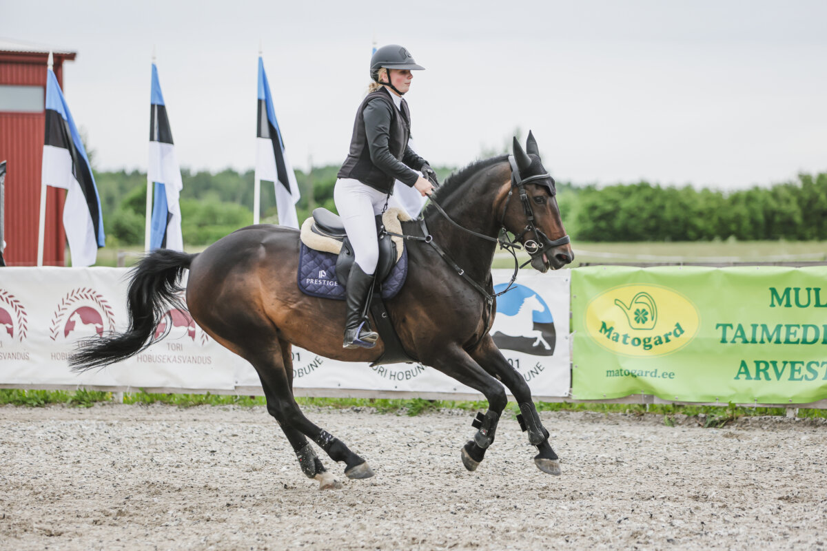 Tori_Karikas_2026_7_AT130cm_09