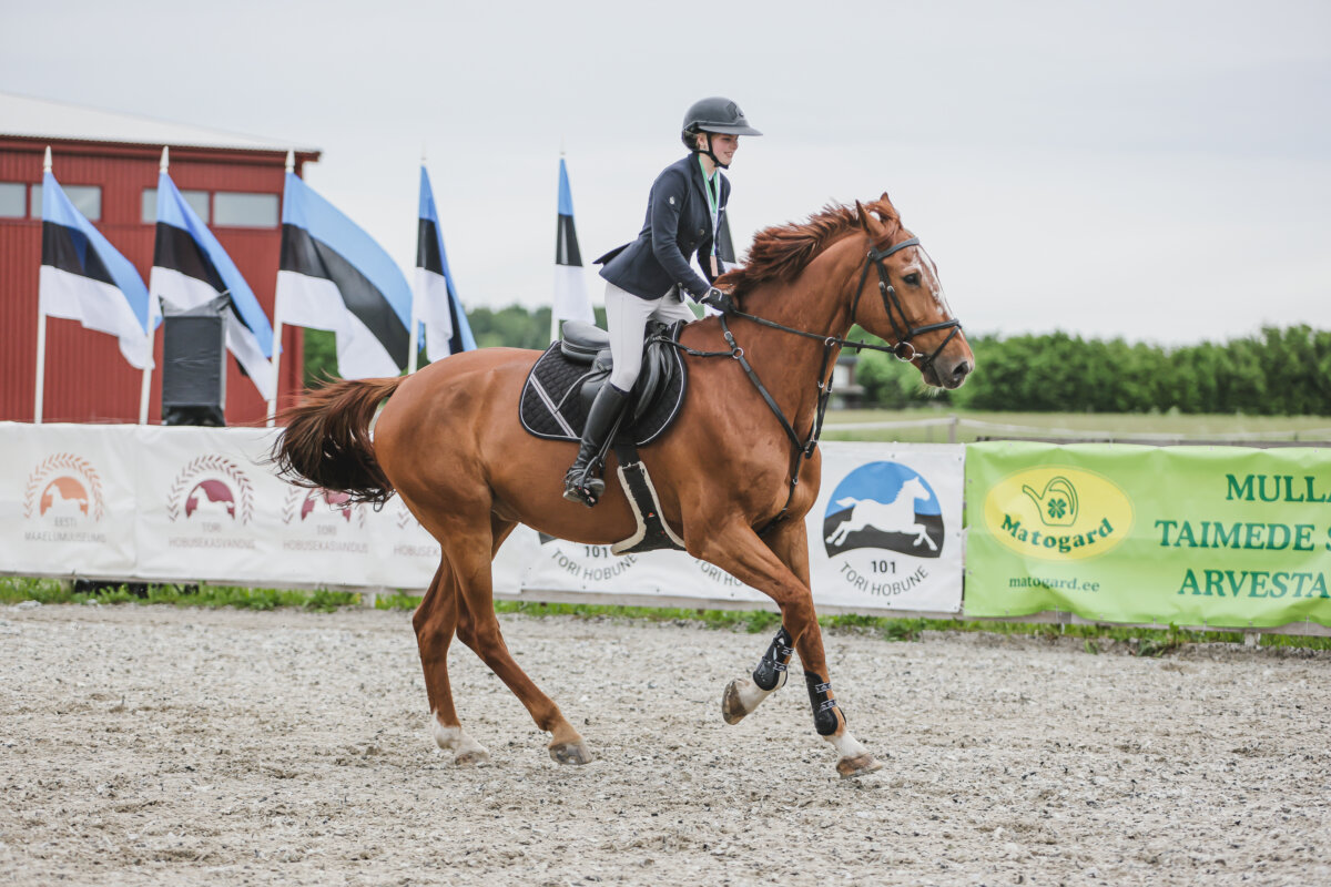Tori_Karikas_2026_7_AT130cm_11