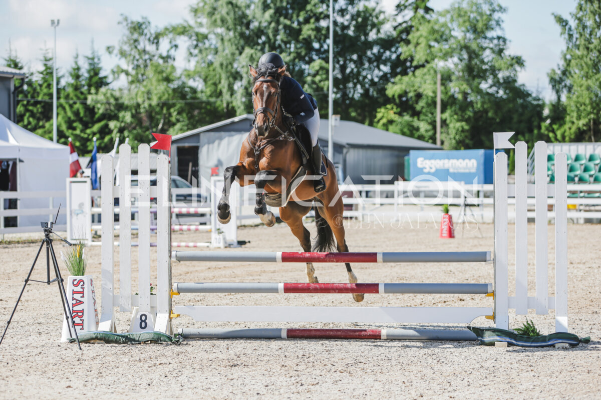 Gramina_Jaanipaev_2026_hc80-90_013