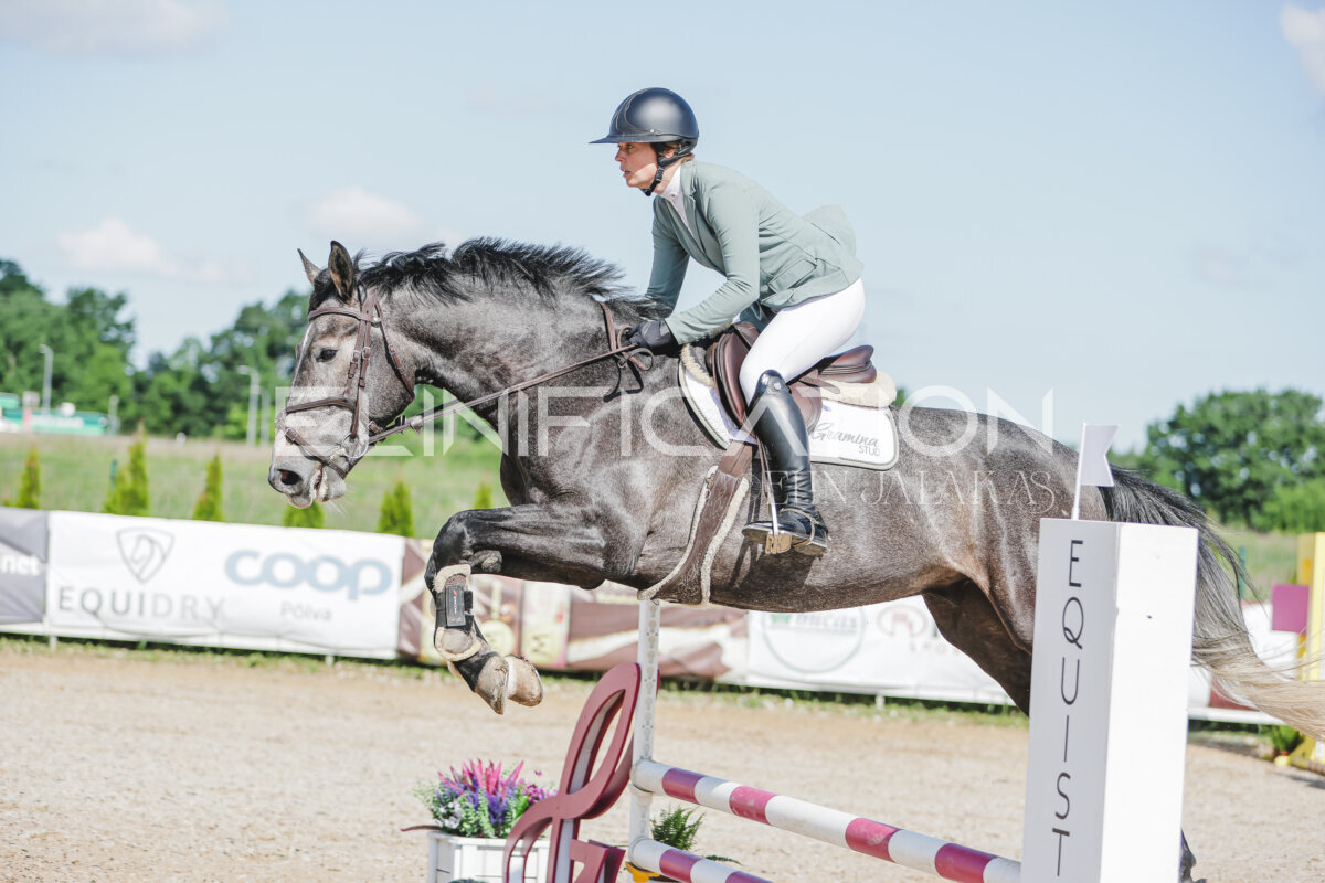 Gramina_Jaanipaev_2026_hc80-90_071