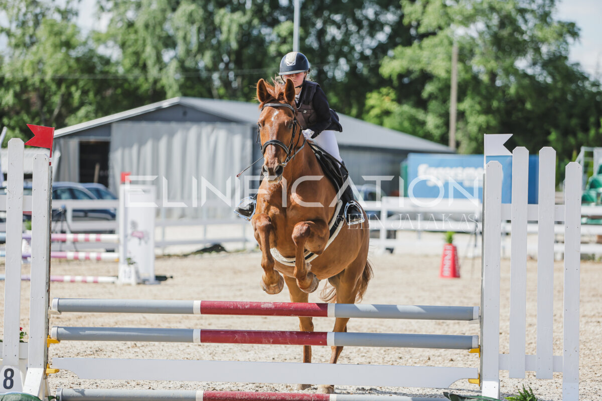 Gramina_Jaanipaev_2026_hc80-90_115