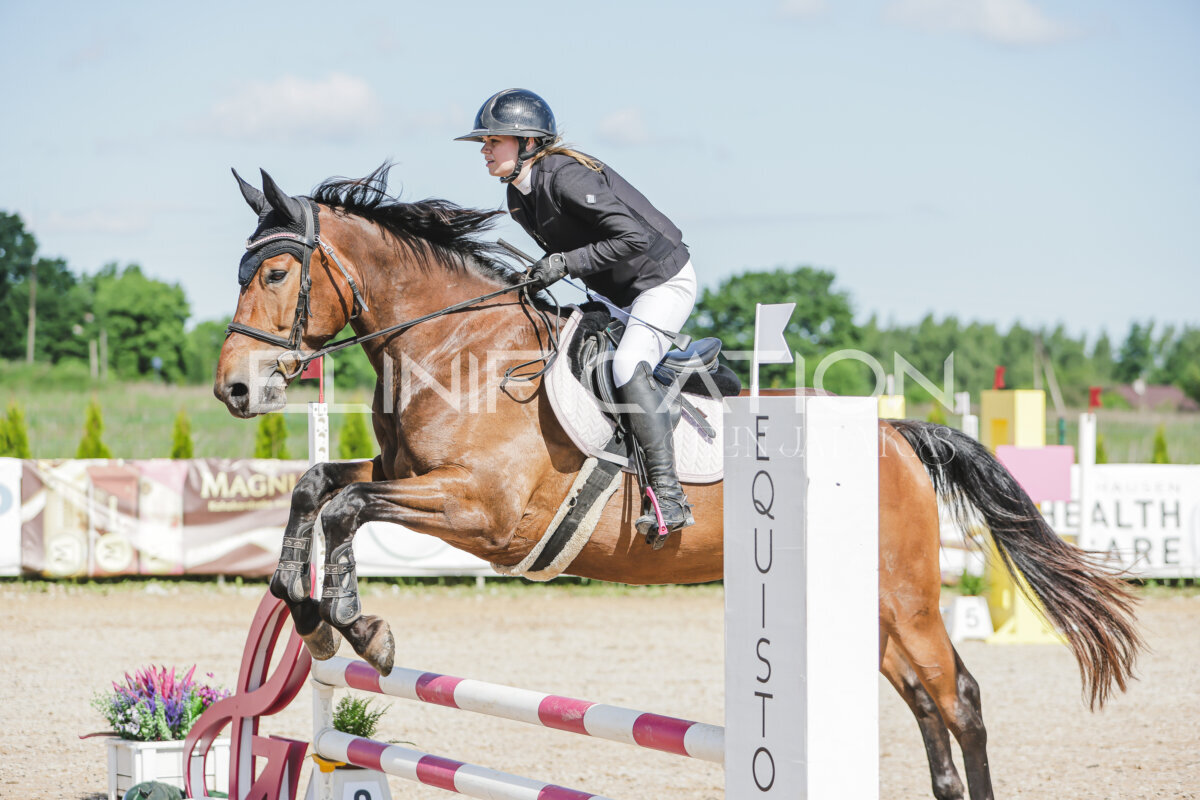 Gramina_Jaanipaev_2026_hc80-90_122