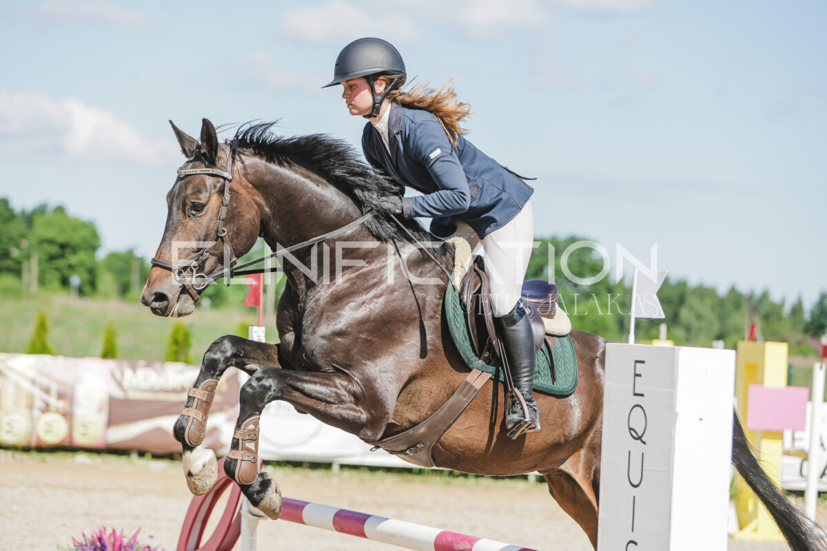 Gramina_Jaanipaev_2026_hc80-90_145