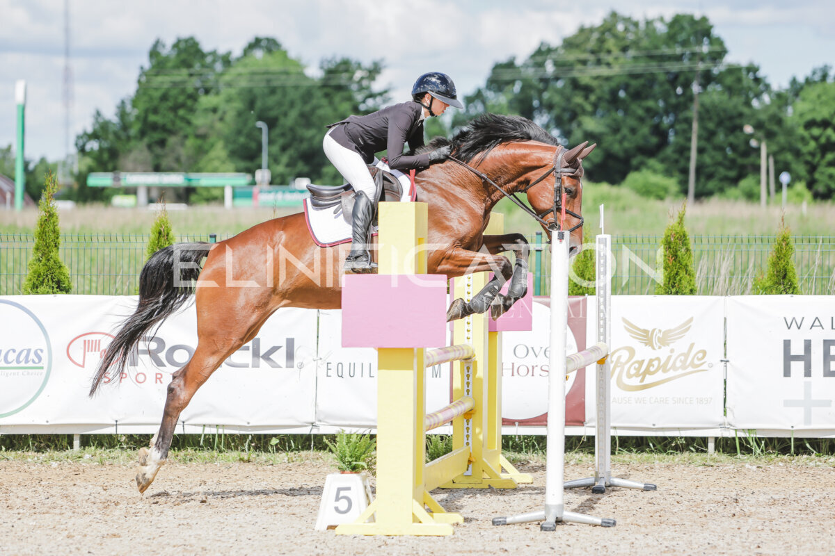 Gramina_Jaanipaev_2026_100_037